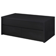 Pemberly Row Lift Top Cocktail Coffee Table with 2 Drawers in Black