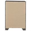 Pemberly Row Transitional 4-drawer Chest of Drawers in Brown Oak