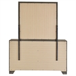 Pemberly Row Transitional 6-drawer Dresser and Mirror in Brown Oak