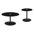 Pemberly Row 2-piece Round Glass Top Coffee and End Table Set in Black