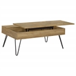 Pemberly Row 3-piece Lift Top Coffee and End Table Set in Golden Oak