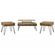 Pemberly Row 3-piece Lift Top Coffee and End Table Set in Golden Oak