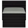 Pemberly Row 2-drawer Vanity Set with LED Mirror in Black High Gloss