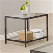 Pemberly Row 1-Shelf Tempered Glass Top Side End Table in Black Nickel