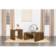 Pemberly Row 2-Piece Solid Sheesham Coffee and End Table Set in Auburn