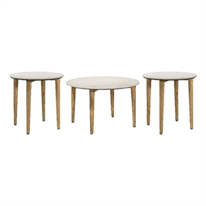 Pemberly Row 3-Piece Marble and Mango Coffee and End Table Set in White