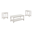 Pemberly Row 3-piece Coffee and End Table Set in Distressed White