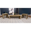 Pemberly Row 3-piece Rectangular Coffee and End Table Set in Mango