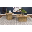 Pemberly Row 2-piece Square Laminate Coffee and End Table Set in Mango