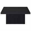 Pemberly Row 2-piece Square Engineered Wood Coffee Table Set in Black
