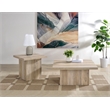 Pemberly Row 2-piece Square Coffee and End Table Set in Distressed Pine