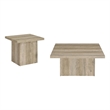 Pemberly Row 2-piece Square Coffee and End Table Set in Distressed Pine