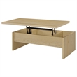 Pemberly Row 3-piece Engineered Wood Lift Top Coffee Table Set in Light Oak