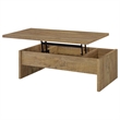 Pemberly Row 2-piece Engineered Wood Lift Top Coffee Table Set in Mango