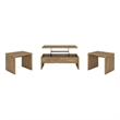 Pemberly Row 3-piece Engineered Wood Lift Top Coffee Table Set in Mango