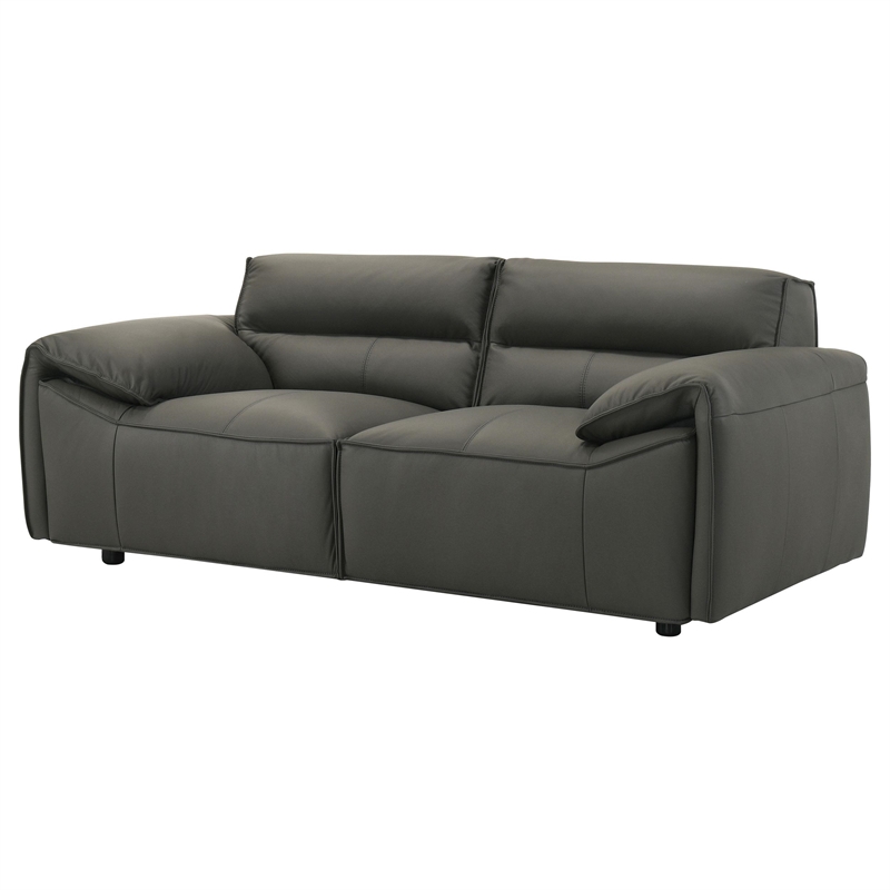 Pemberly Row Padded Top Grain Leather Loveseat in Graphite Gray