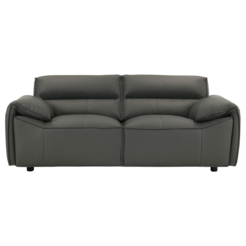 Pemberly Row 2-Piece Upholstered Leather Sofa Set in Graphite Gray