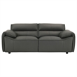 Pemberly Row 2-Piece Upholstered Leather Sofa Set in Graphite Gray