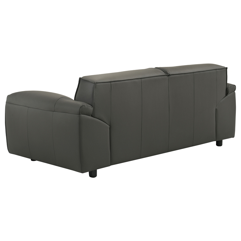 Pemberly Row 2-Piece Upholstered Leather Sofa Set in Graphite Gray