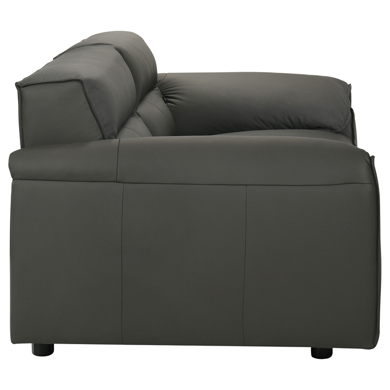Pemberly Row 2-Piece Upholstered Leather Sofa Set in Graphite Gray
