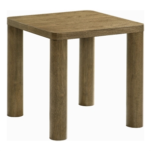 Pemberly Row Transitional Wood Accent Side End Table in Brown Oak