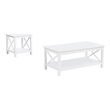 Pemberly Row 2-piece Wood Lift Top Coffee Table Set in White