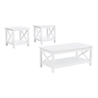 Pemberly Row 3-piece Wood Lift Top Coffee Table Set in White