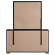 Pemberly Row 6-Drawer Dresser with Mirror and Gold Accents in Black