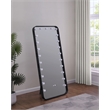 Pemberly Row 32 x 71 Inch LED Standing Mirror with Speakers in Black