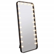 Pemberly Row 32 x 71 Inch LED Standing Mirror with Speakers in Black
