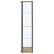 Pemberly Row 3-shelf Engineered Wood and Clear Glass Curio Cabinet in Brown