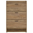 Pemberly Row Contemporary 3-tier Engineered Wood Shoe Cabinet in Brown