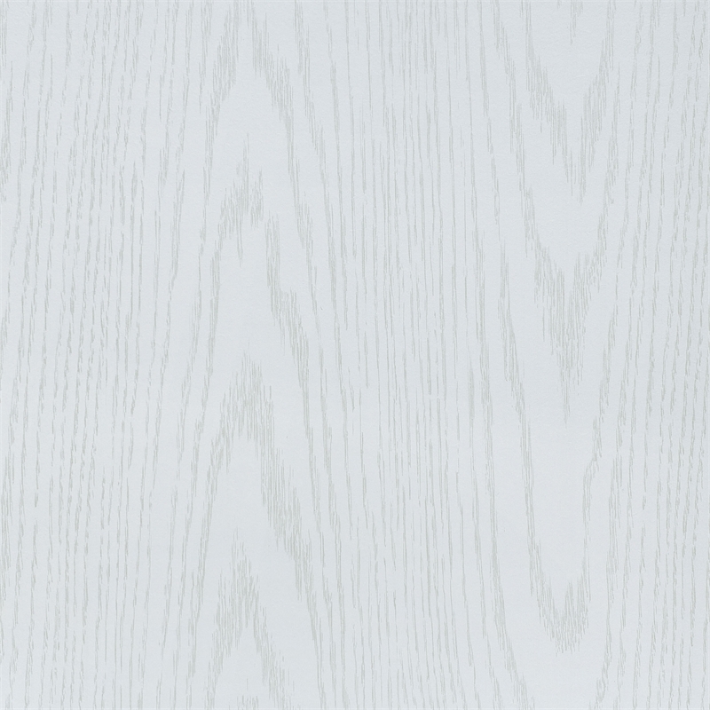 Pemberly Row 4-Panel Room Divider Folding Shoji Screen in White