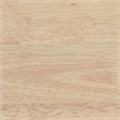Pemberly Row 5-piece 59-inch Rectangular Wood Dining Set in White Washed