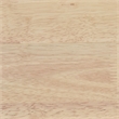Pemberly Row 7-piece 59-inch Rectangular Wood Dining Set in White Washed