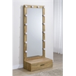 Pemberly Row 1-Drawer Lighted Full-Length Floor Glass Mirror in Brown
