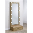 Pemberly Row 1-Drawer Lighted Full-Length Floor Glass Mirror in Brown