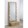 Pemberly Row 1-Drawer Lighted Full-Length Floor Glass Mirror in Brown
