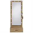 Pemberly Row 1-Drawer Lighted Full-Length Floor Glass Mirror in Brown