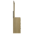 Pemberly Row 6-Drawer Transitional Dresser and Mirror in Light Oak