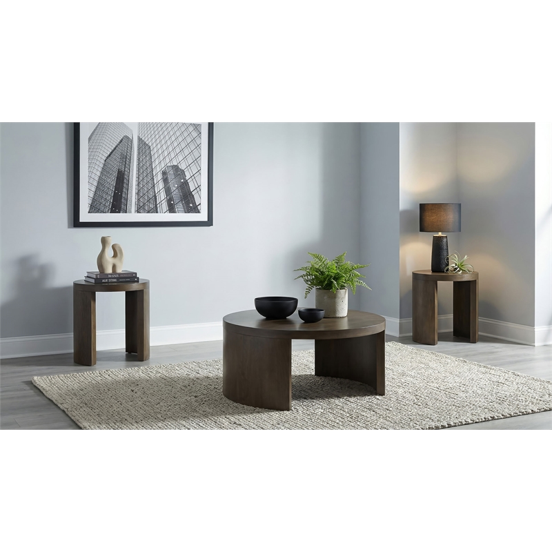 Pemberly Row 3-Piece Wood Occasional Coffee Table Set in Dark Walnut