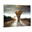 Pemberly Row Frameless Tempered Glass Wall Art Elephant Journey Multicolor