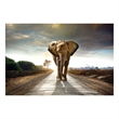 Pemberly Row Frameless Tempered Glass Wall Art Elephant Journey Multicolor