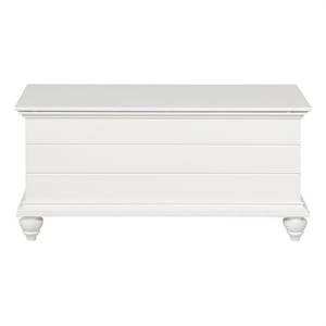 Pemberly Row Cedar Lined Storage Chest Faux Plank Details in White