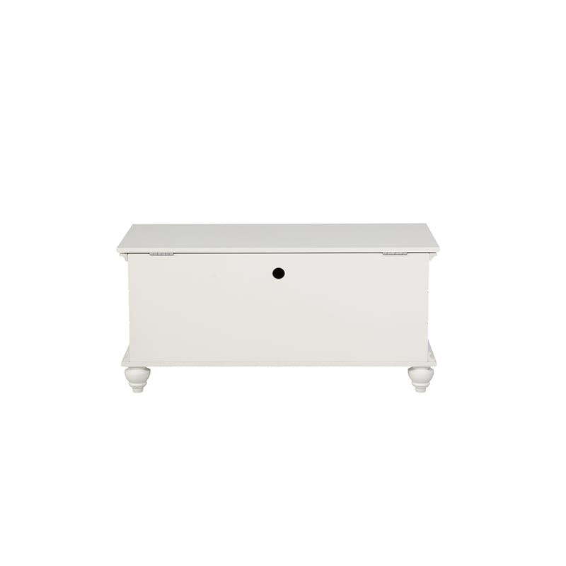 Pemberly Row Cedar Lined Storage Chest Faux Plank Details in White