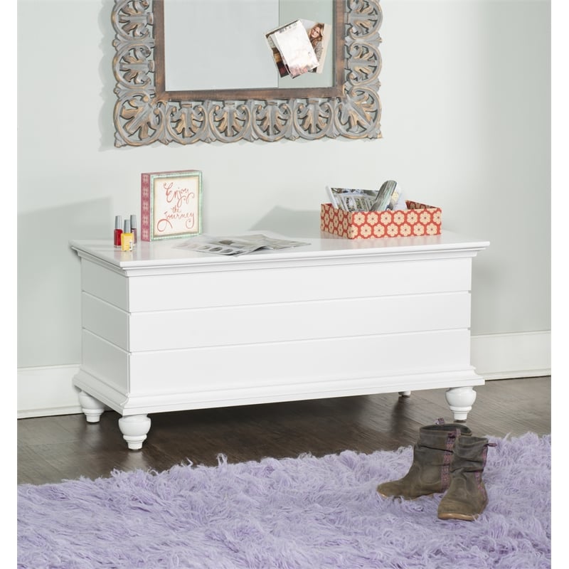 Pemberly Row Cedar Lined Storage Chest Faux Plank Details in White