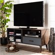 Pemberly Row Walnut/Grey Wood 1-Drawer TV Stand with Storage