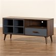 Pemberly Row Walnut/Grey Wood 1-Drawer TV Stand with Storage