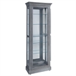 Pemberly Row Side Entry Curio Cabinet in Gray Wood Finish with Mirror Backing