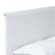 Pemberly Row White Traditional Rubberwood Twin Daybed with Inset Panels